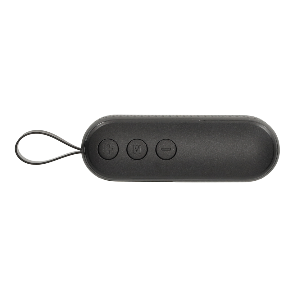 BRAINZ Speaker Lenn Wheatstraw Zwart