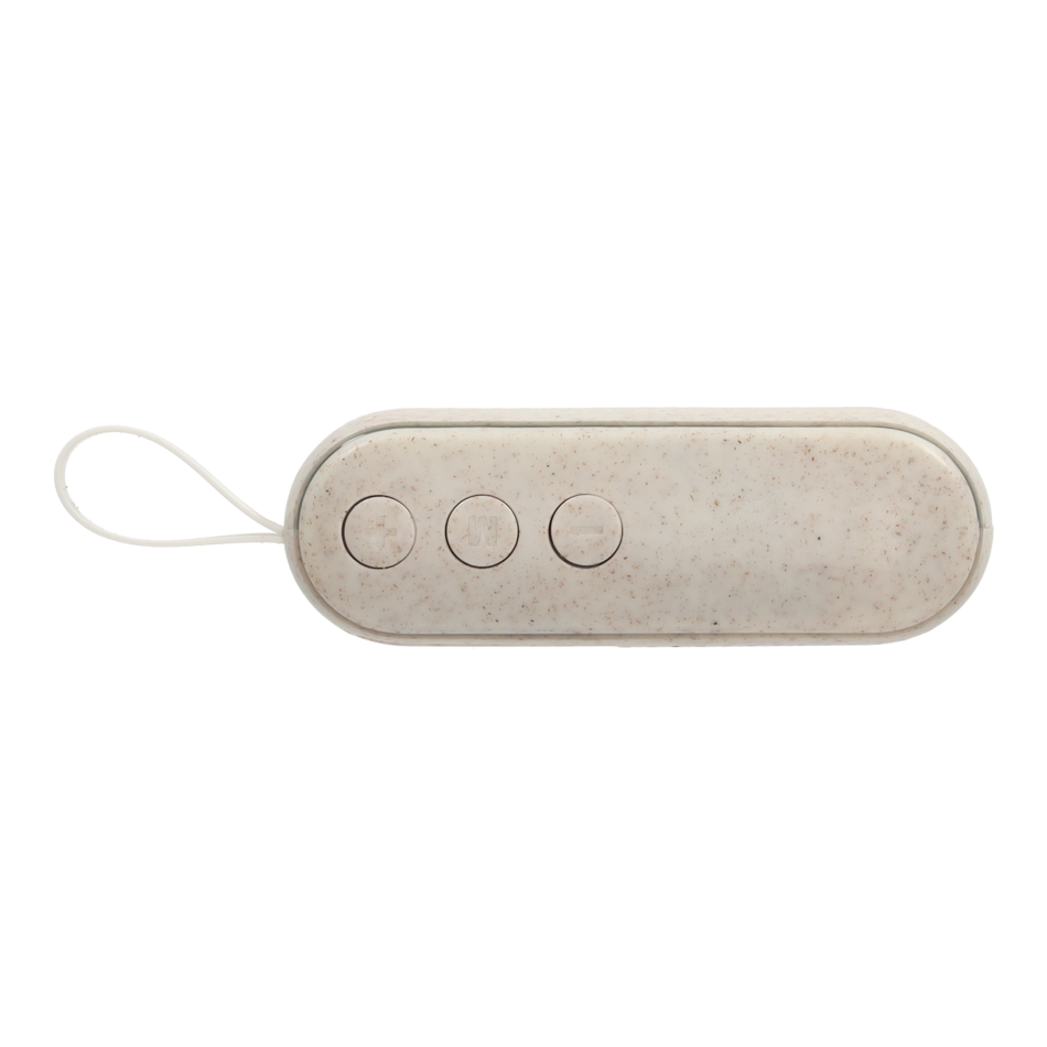 BRAINZ Speaker Lenn Wheatstraw Naturel