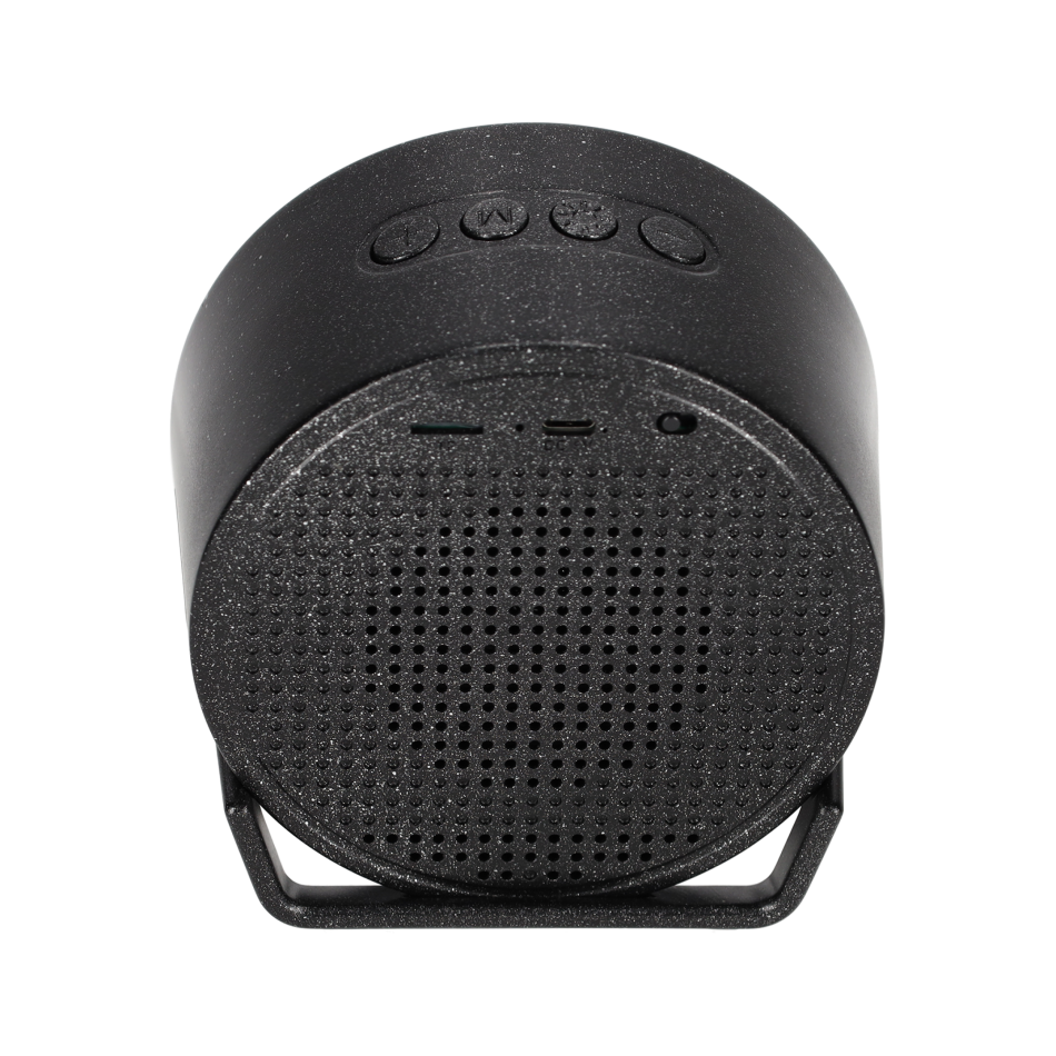 BRAINZ LED Charger Speaker Vic Wheatstraw Zwart