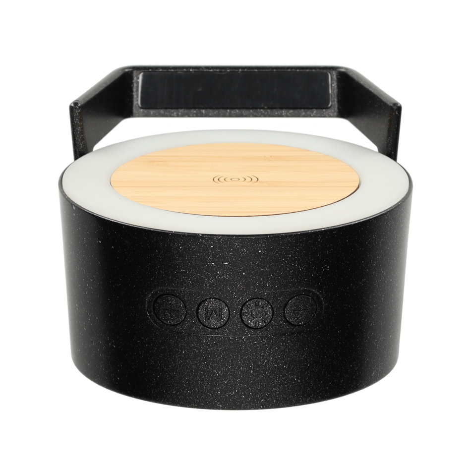 BRAINZ LED Charger Speaker Vic Wheatstraw Zwart